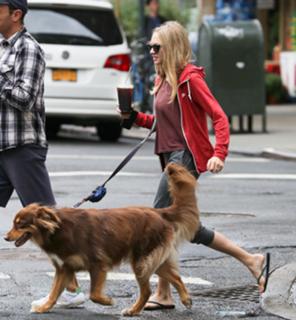 Amanda Seyfried feet photo thumbnail