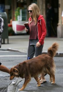 Amanda Seyfried feet photo thumbnail
