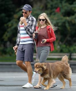 Amanda Seyfried feet photo thumbnail