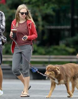 Amanda Seyfried feet photo thumbnail