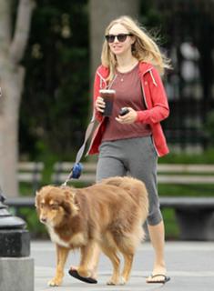 Amanda Seyfried feet photo thumbnail