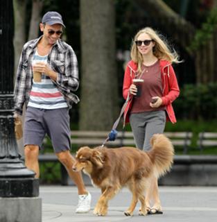 Amanda Seyfried feet photo thumbnail