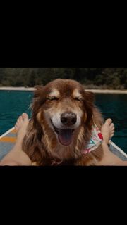 Amanda Seyfried feet photo thumbnail