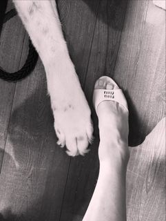 Amanda Seyfried feet photo thumbnail