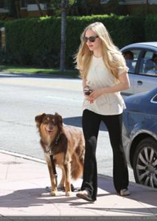 Amanda Seyfried feet photo thumbnail