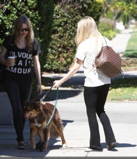 Amanda Seyfried feet photo thumbnail