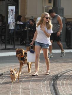 Amanda Seyfried feet photo thumbnail