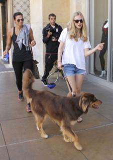 Amanda Seyfried feet photo thumbnail
