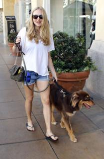 Amanda Seyfried feet photo thumbnail