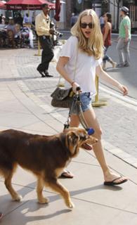 Amanda Seyfried feet photo thumbnail