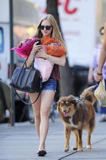 Amanda Seyfried feet photo thumbnail