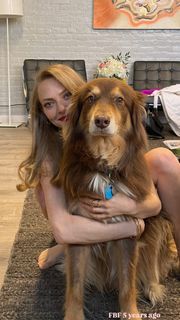 Amanda Seyfried feet photo 3