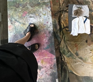 Amanda Shires feet photo 8