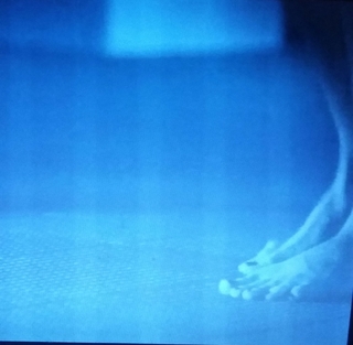 Amanda Walsh feet photo 19