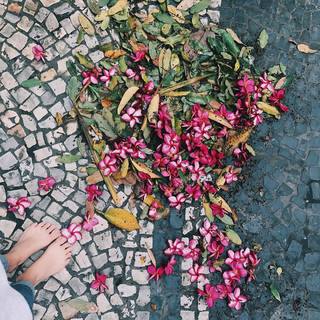 Amanda de Godoi feet photo 11