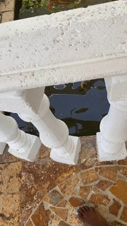 Amara La Negra feet photo 7