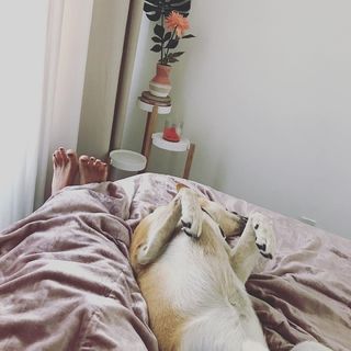 Amara Zaragoza feet photo 8