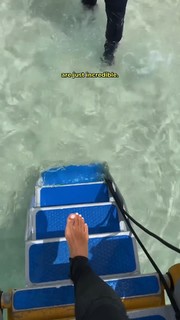 Ambar Driscoll feet photo 9