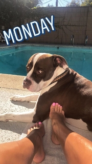 Amber Borzotra feet photo 18