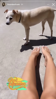 Amber Frank feet photo 11