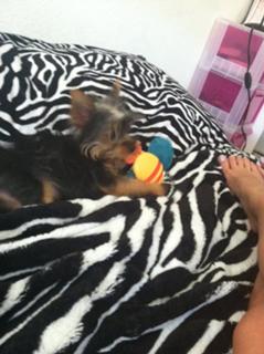 Amber Lee Ettinger feet photo 13