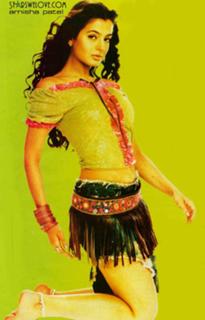 Ameesha Patel feet photo thumbnail