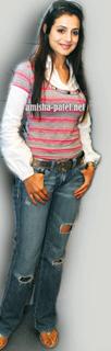 Ameesha Patel feet photo thumbnail