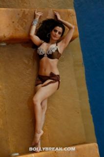 Ameesha Patel feet photo thumbnail