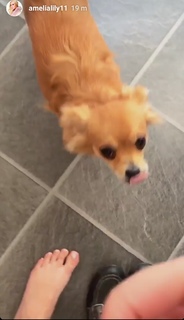 Amelia Lily feet photo 15