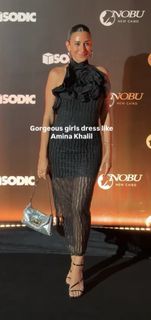 Amina Khalil feet photo 10