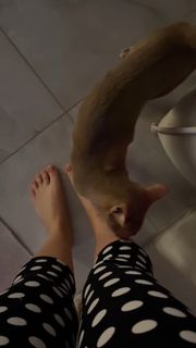 Amina Mirzoeva feet photo 1