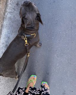 Amina Muaddi feet photo thumbnail