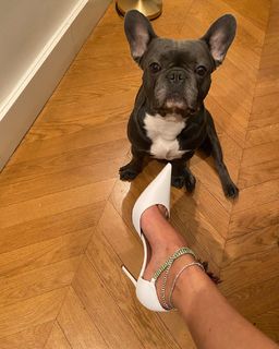 Amina Muaddi feet photo thumbnail