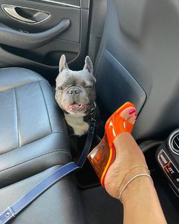 Amina Muaddi feet photo thumbnail