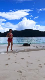 Amina Muaddi feet photo thumbnail