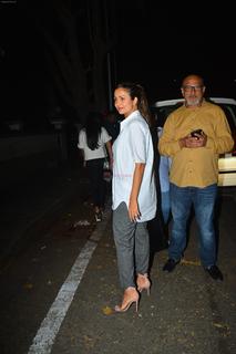 Amrita Arora feet photo thumbnail