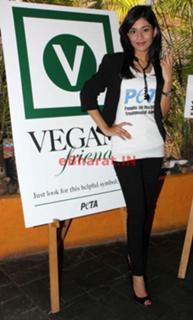 Amrita Rao feet photo thumbnail