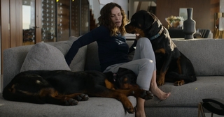 Amy Brenneman feet photo thumbnail