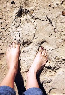 Amy Bruni feet photo 19