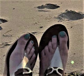 Amy Bruni feet photo 5