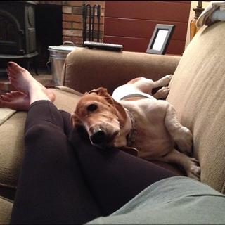 Amy Bruni feet photo 2