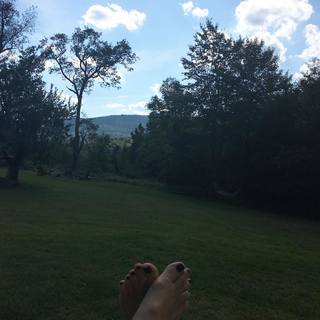 Amy Carlson feet photo 17