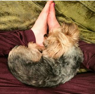 Amy Davidson feet photo thumbnail