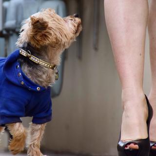 Amy Davidson feet photo thumbnail