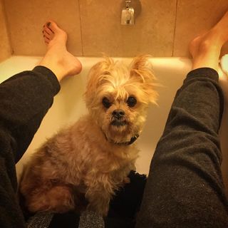 Amy Dumas feet photo thumbnail