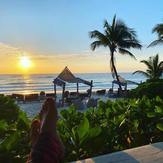 Amy Jo Johnson feet photo thumbnail