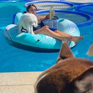 Amy Jo Johnson feet photo thumbnail