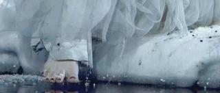 Amy Lee feet photo thumbnail