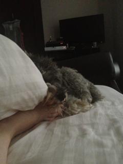 Amy Macdonald feet photo thumbnail