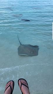 Amy Macdonald feet photo thumbnail